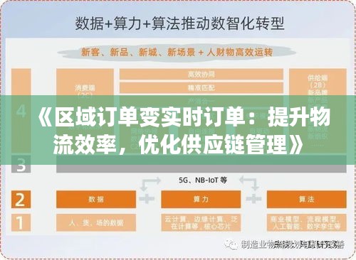 《区域订单变实时订单：提升物流效率，优化供应链管理》