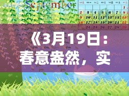 《3月19日：春意盎然，实时天气预报带您畅享春日暖阳》