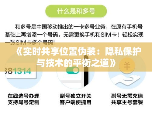 《实时共享位置伪装：隐私保护与技术的平衡之道》