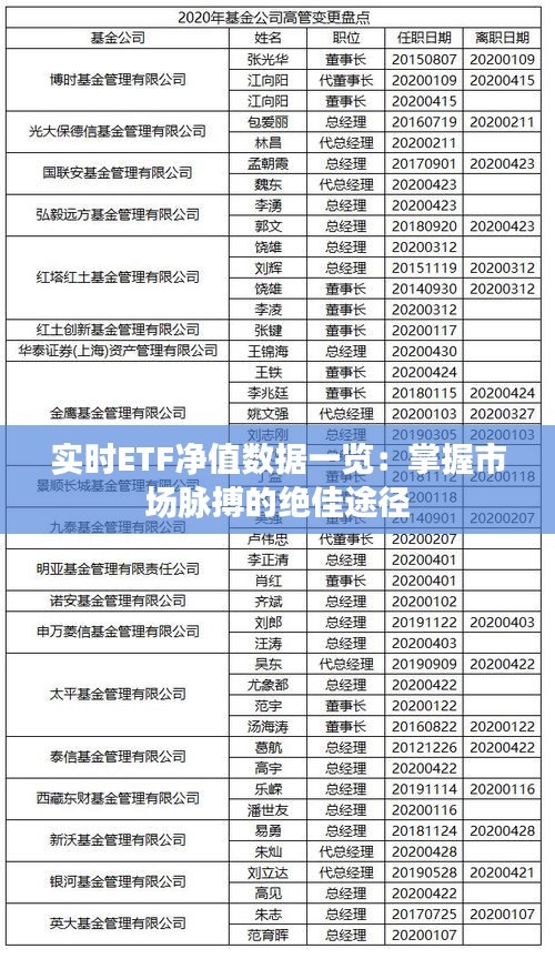 实时ETF净值数据一览：掌握市场脉搏的绝佳途径