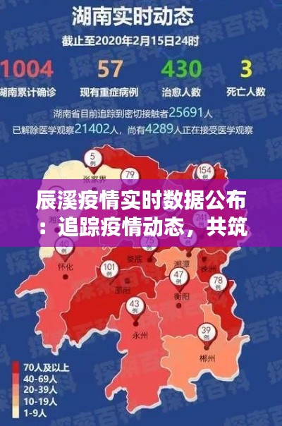 辰溪疫情实时数据公布：追踪疫情动态，共筑防疫防线