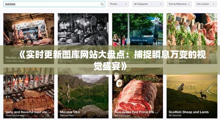 《实时更新图库网站大盘点：捕捉瞬息万变的视觉盛宴》