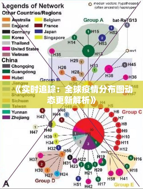 《实时追踪：全球疫情分布图动态更新解析》