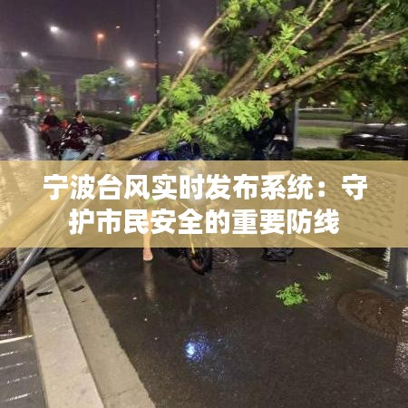 宁波台风实时发布系统：守护市民安全的重要防线