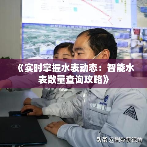 《实时掌握水表动态：智能水表数量查询攻略》