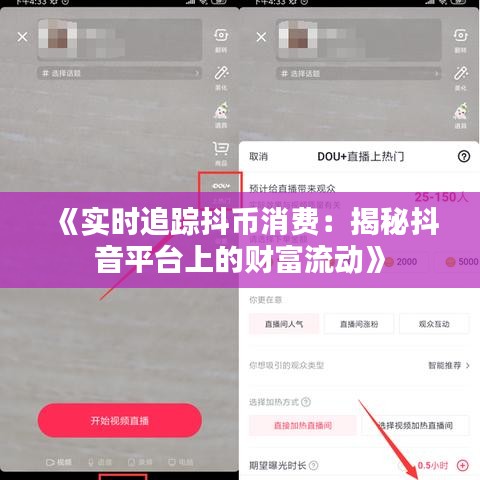 《实时追踪抖币消费：揭秘抖音平台上的财富流动》