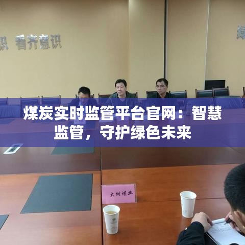 煤炭实时监管平台官网：智慧监管，守护绿色未来