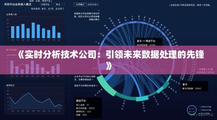 《实时分析技术公司：引领未来数据处理的先锋》