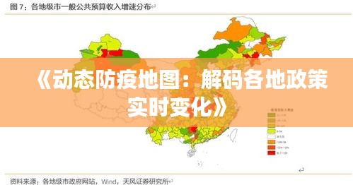 《动态防疫地图：解码各地政策实时变化》