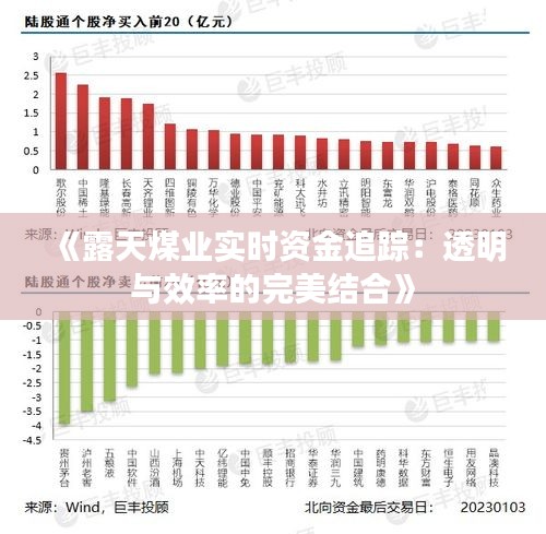 《露天煤业实时资金追踪：透明与效率的完美结合》