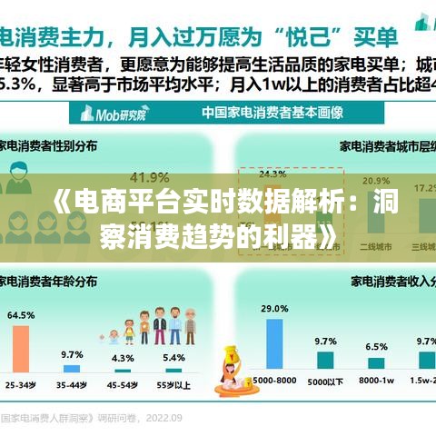 《电商平台实时数据解析：洞察消费趋势的利器》