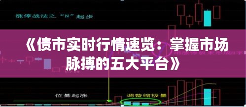 《债市实时行情速览：掌握市场脉搏的五大平台》