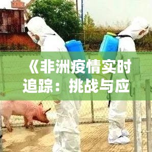 《非洲疫情实时追踪：挑战与应对策略解析》