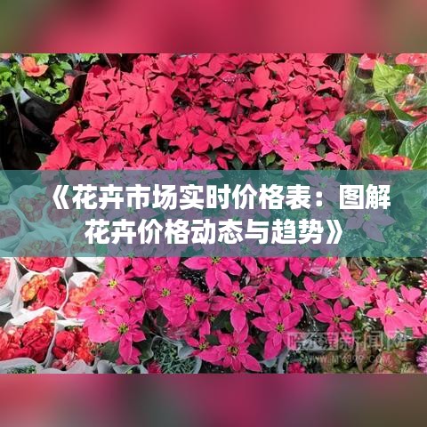 《花卉市场实时价格表：图解花卉价格动态与趋势》