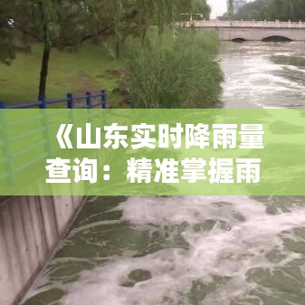 《山东实时降雨量查询：精准掌握雨情动态》