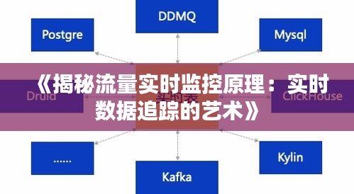 《揭秘流量实时监控原理：实时数据追踪的艺术》