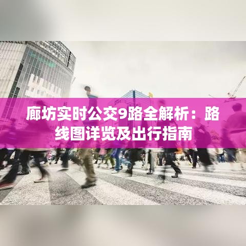 廊坊实时公交9路全解析：路线图详览及出行指南