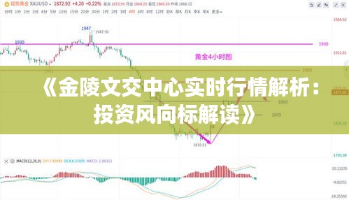 《金陵文交中心实时行情解析：投资风向标解读》