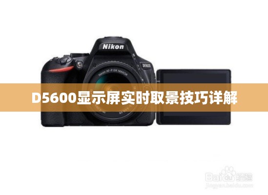 D5600显示屏实时取景技巧详解