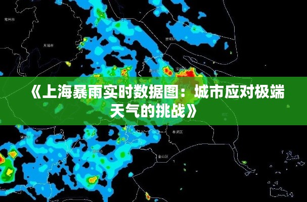 《上海暴雨实时数据图：城市应对极端天气的挑战》