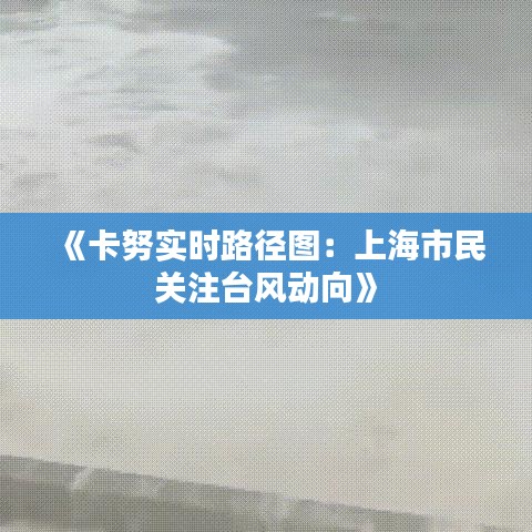 《卡努实时路径图：上海市民关注台风动向》