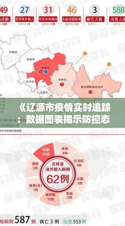 《辽源市疫情实时追踪：数据图表揭示防控态势》