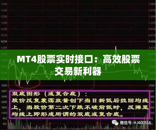 MT4股票实时接口：高效股票交易新利器