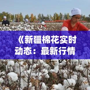 《新疆棉花实时动态：最新行情解析与市场分析》