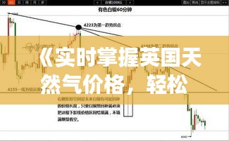 《实时掌握英国天然气价格，轻松应对市场波动》