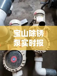 宝山除锈泵实时报价一网打尽，选购无忧