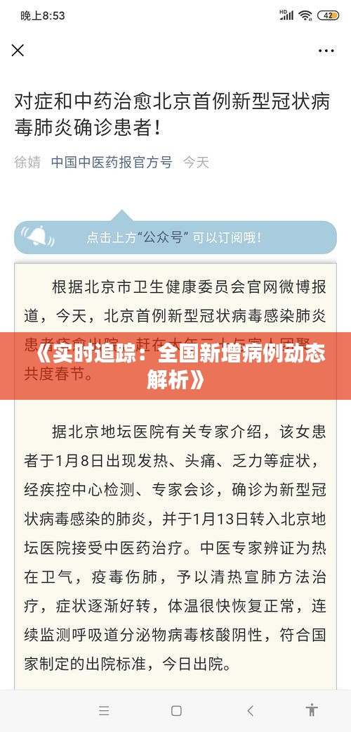 《实时追踪：全国新增病例动态解析》