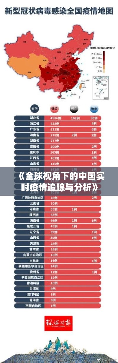 《全球视角下的中国实时疫情追踪与分析》