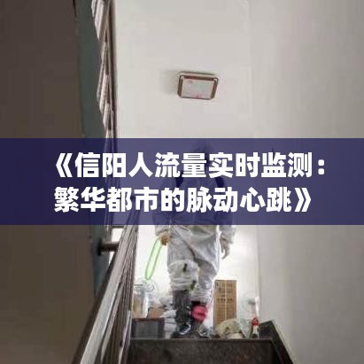 《信阳人流量实时监测：繁华都市的脉动心跳》