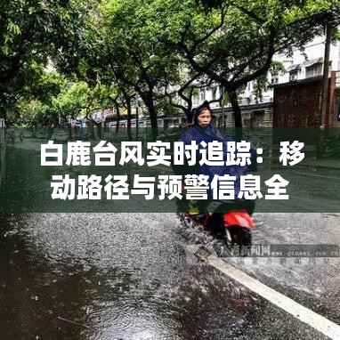 白鹿台风实时追踪：移动路径与预警信息全解析