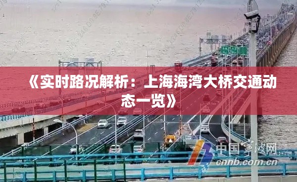 《实时路况解析：上海海湾大桥交通动态一览》