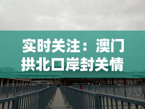 实时关注：澳门拱北口岸封关情况解析