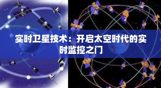 2024年12月23日 第6页