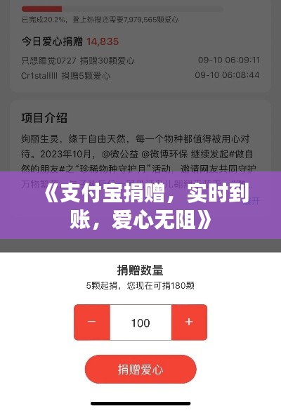 《支付宝捐赠，实时到账，爱心无阻》