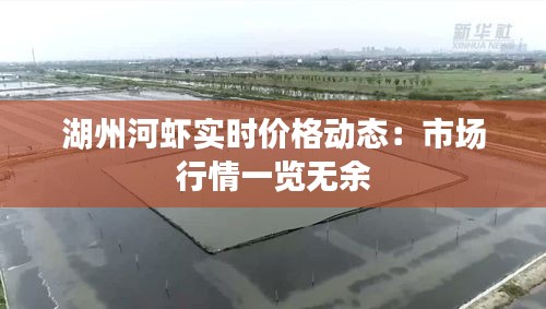 湖州河虾实时价格动态：市场行情一览无余