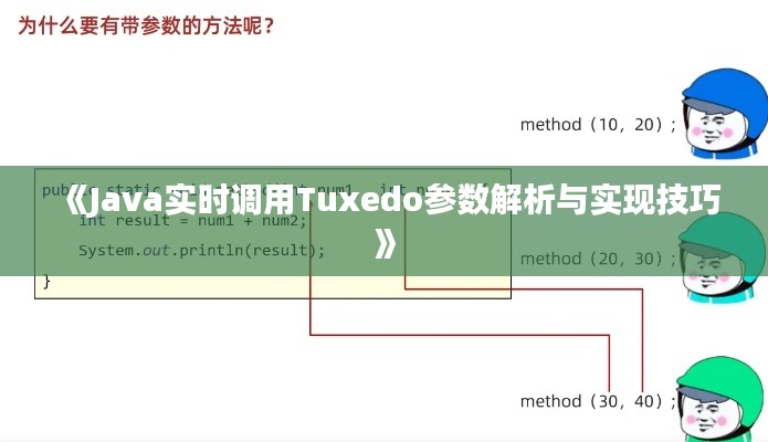 《Java实时调用Tuxedo参数解析与实现技巧》