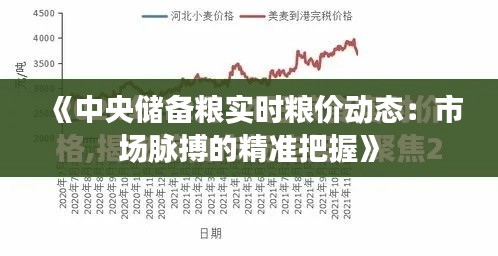 《中央储备粮实时粮价动态：市场脉搏的精准把握》