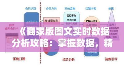 《商家版图文实时数据分析攻略：掌握数据，精准营销》