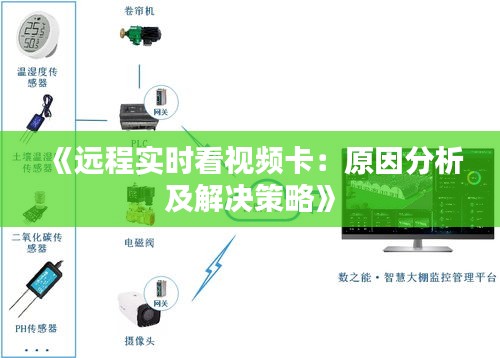 《远程实时看视频卡：原因分析及解决策略》