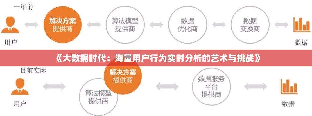 《大数据时代：海量用户行为实时分析的艺术与挑战》