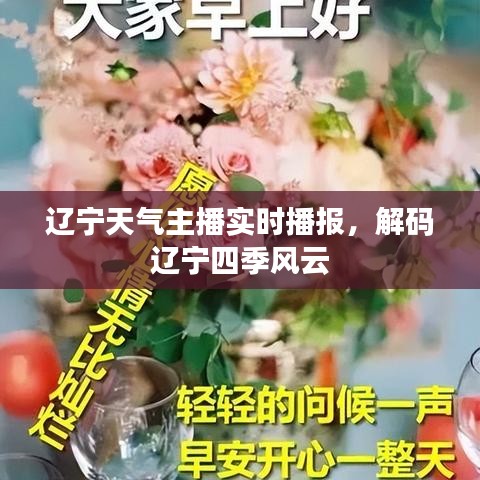 辽宁天气主播实时播报，解码辽宁四季风云