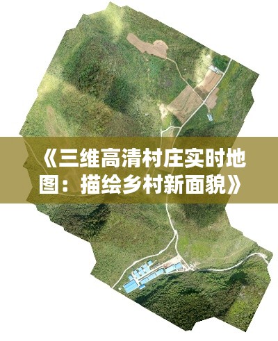 《三维高清村庄实时地图：描绘乡村新面貌》