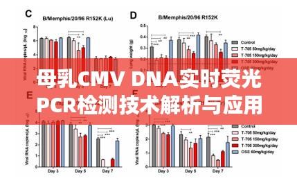 母乳CMV DNA实时荧光PCR检测技术解析与应用