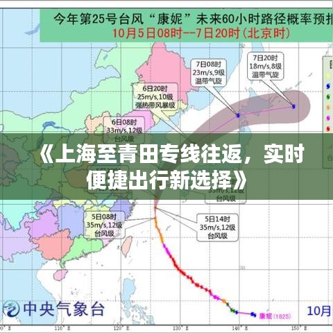 《上海至青田专线往返，实时便捷出行新选择》