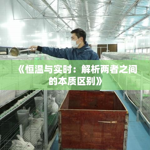 《恒温与实时：解析两者之间的本质区别》