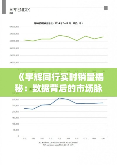 《宇辉同行实时销量揭秘：数据背后的市场脉动》